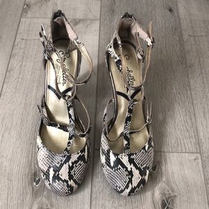 Seychelles rattlesnake heels